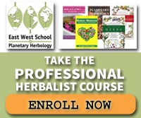 Take the Professional Herbalist Course