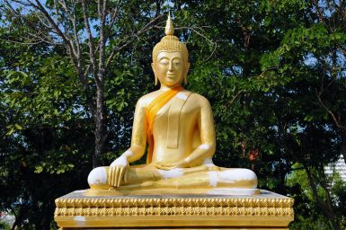 Buddha: Psycho Spiritual Herbalist