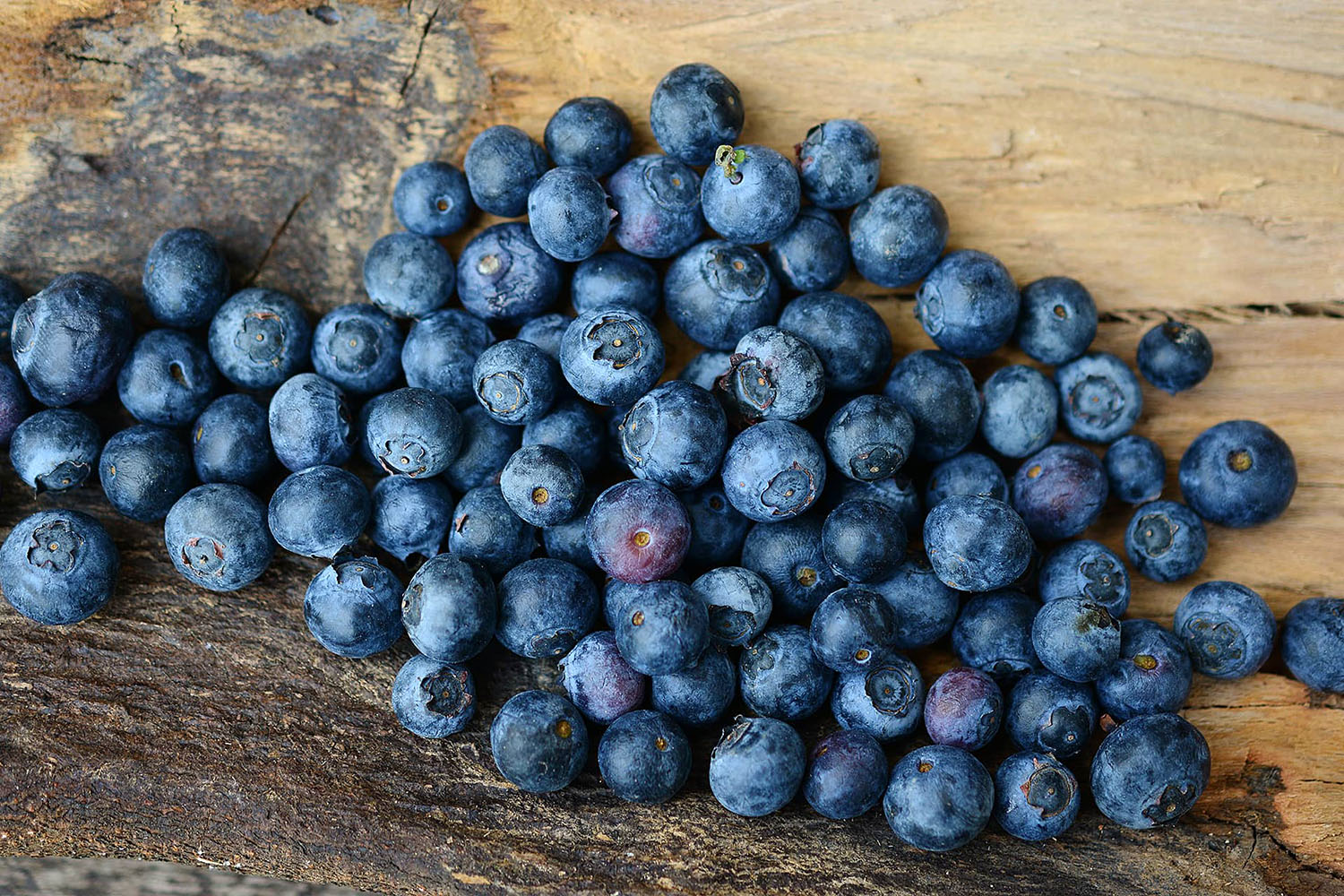 Blueberries for Multiple Sclerosis