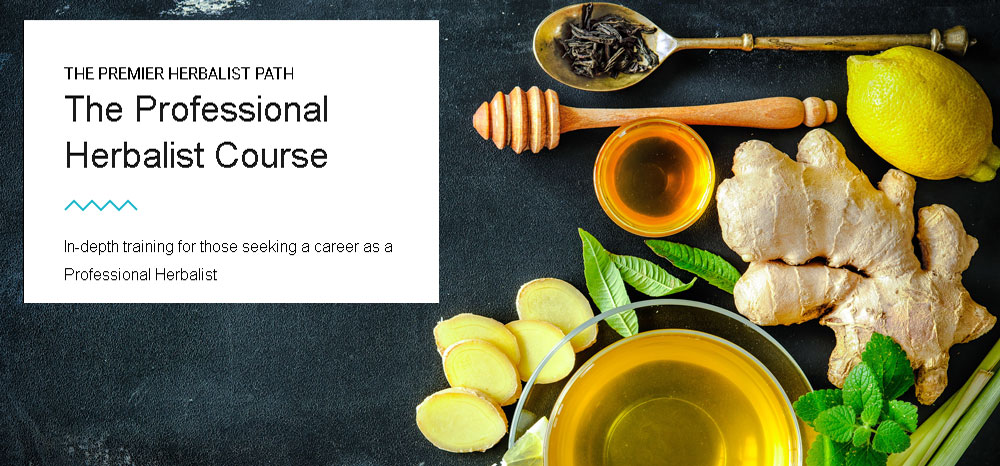 Professional herbalist course