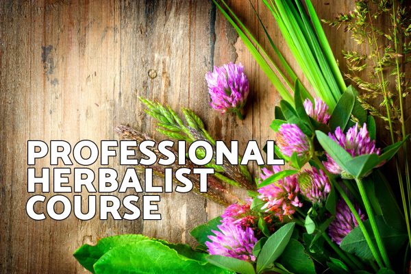 Learn Herbs At Home At Your Own Pace | Online Herbalism Courses