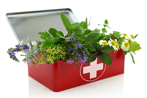 Herb First Aid Kit