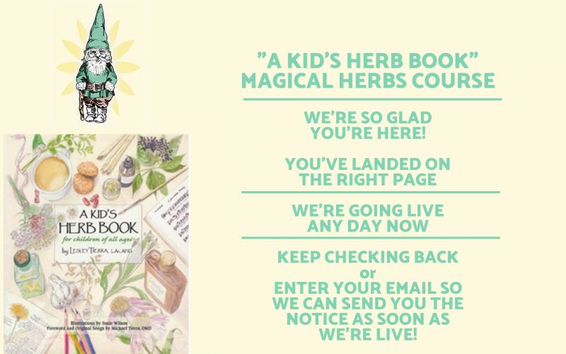 Magical Herbs is Coming Soon!