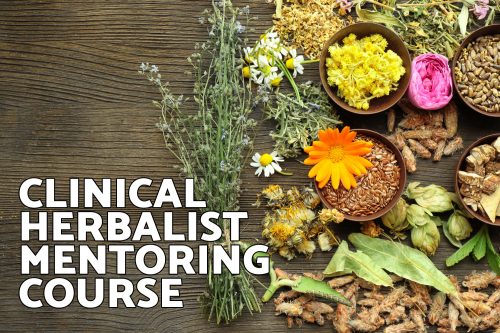 Clinical Mentoring Herbalist Course