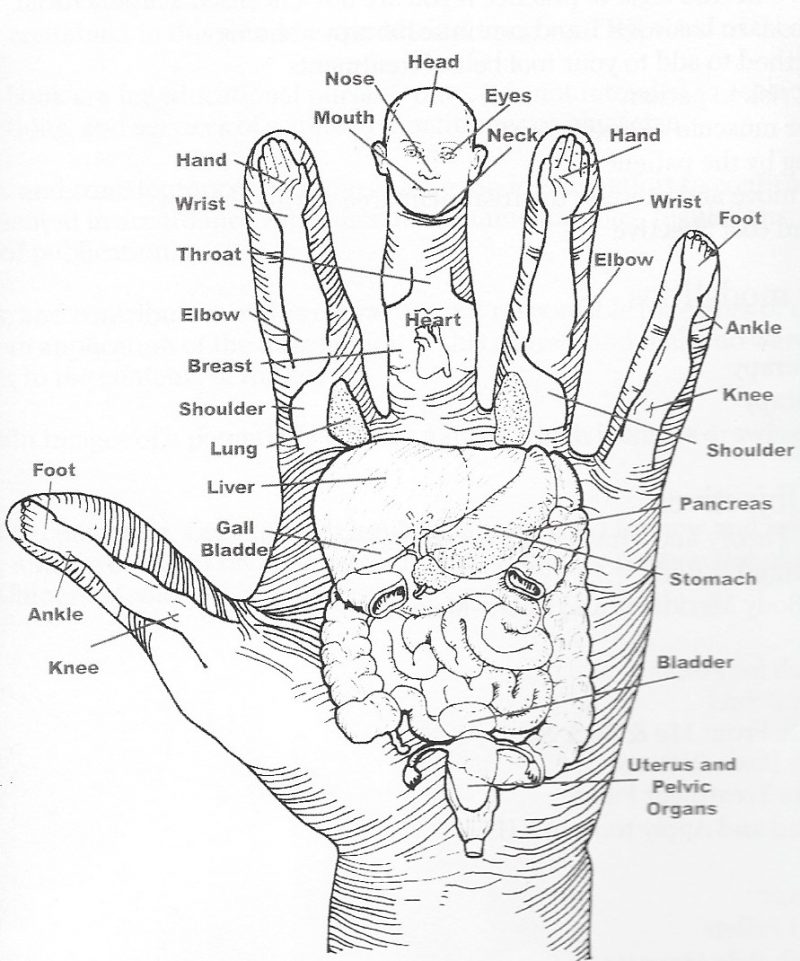 Korean Hand Therapy - East West School of Herbology