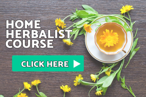 Home Herbalist Course