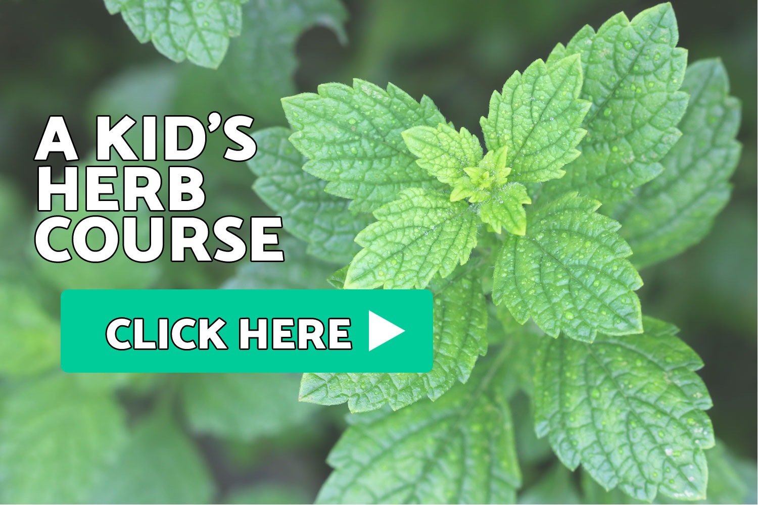 Kid's Herb Course