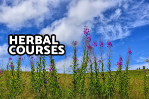 Herbal Courses