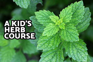 Kid's Herb Course