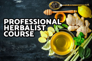Professional Herbalist Course
