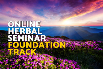 Online Seminar Foundation Track