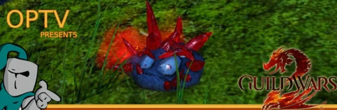stream-team-magical-journey-pet-3630