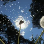ComputerBase Community Photo Challenge Returns in Autumn 2026 With Reader Vote