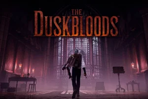 hora-empieza-network-test-duskbloods-78db