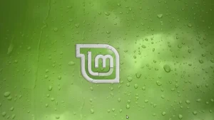 mit-kernel-linux-mint-bringt-d4cf