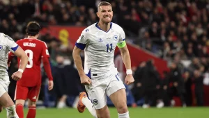 bosnia-herzegovina-fifa-world-cup-7007