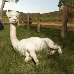 Farming Simulator 25’s Beans & Alpacas DLC Adds Coffee, Bananas, Alpacas