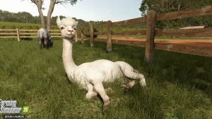 landwirtschafts-simulator-addon-bringt-kaffee-0056
