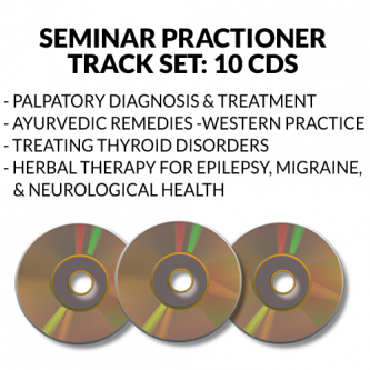 Practioner Track Seminar Audio